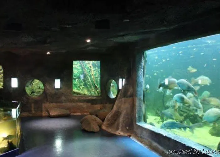 Terres De France - Natura Pescalis Moncoutant